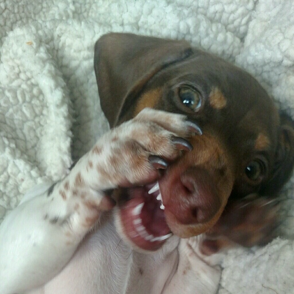 Meet your Posher, Jessica